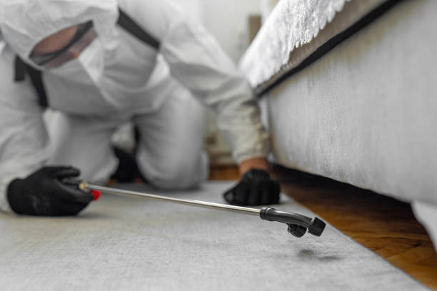 Professional Bed Bug Control technician working in Thomas County County, NE